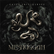 Meshuggah: Catch Thirty Three