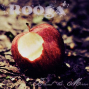 Rooga: Behind The Mirror