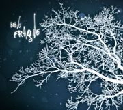 Bob K: Fragile