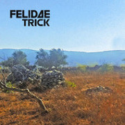 Felidae Trick: Patrimony