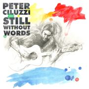 Review: Peter Ciluzzi - Still Without Words