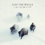 Review: Said The Whale - As Long As Your Eyes Are Wide