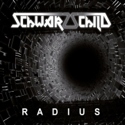 Review: Schwarzschild - Radius