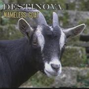 Destinova: The Nameless Goat