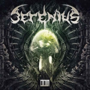 Review: Serenius - Cocoon