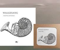 Review: Daniel Pain und Paul Katoe - Whale Songs / Walgesang – CD und illustriertes Buch