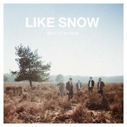 Like Snow: Beauty & Fear