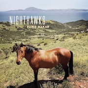 Nighthawks: Paris Dakar - Vinyl-Edition